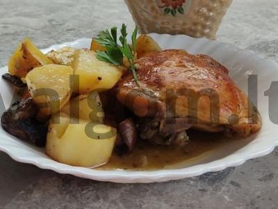 Fricassee orkaitėje pagrindine nuotrauka