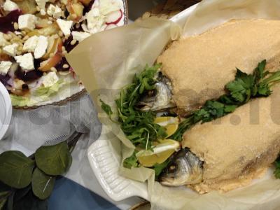 Jūriniai asilai druskos apvalkale. pagrindine nuotrauka