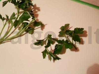 Kanapės su sūriu ir kriauše Žingsnis 4