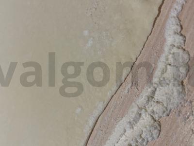 Ananasų paplotėliai "Gėlė" Žingsnis 1