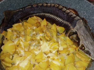 Kepta sterlė su bulvėmis Žingsnis 3