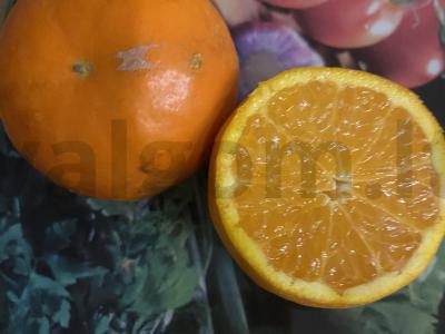 Citrusiniai vaisiai fripps Žingsnis 2