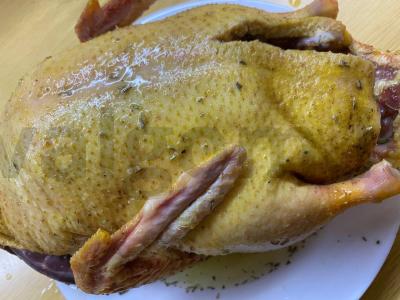 Antis prancūzų kalba Žingsnis 1