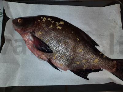 Orkaitėje su česnakais, druska ir prieskoniais keptas brėtlingis Žingsnis 3