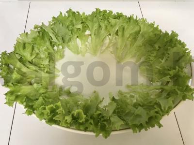 Žuvis ant morkų lovos Žingsnis 6