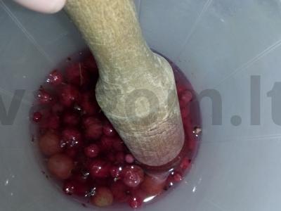 "Mors" "Vasaros raudona" Žingsnis 3