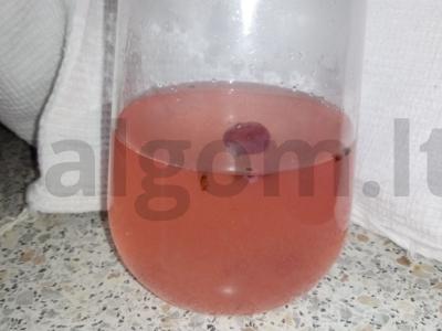 "Mors" "Vasaros raudona" pagrindine nuotrauka