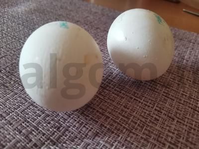 Kiaušinienė ir duona Žingsnis 1