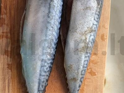 Skumbrė "Kaip valgykloje". Žingsnis 2