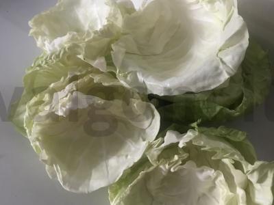 Naminis įdarytas kopūstas Žingsnis 3