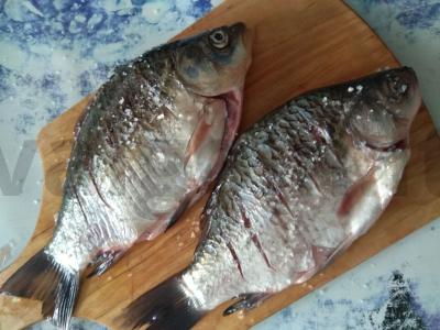 Auksinė žuvelė karpis Žingsnis 1