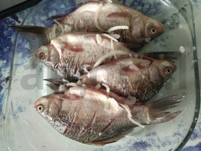 Auksinė žuvelė karpis Žingsnis 3