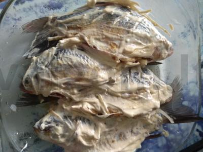 Auksinė žuvelė karpis Žingsnis 4