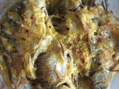 Auksinė žuvelė karpis pagrindine nuotrauka