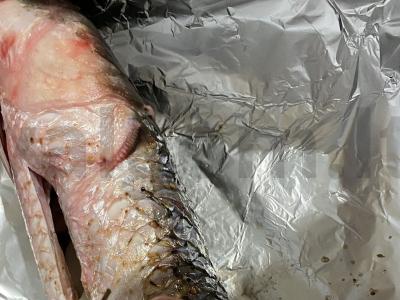 Orkaitėje kepta švelni jūros žuvis Žingsnis 5