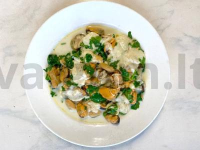 Midijos pieno ir sūrio padaže pagrindine nuotrauka