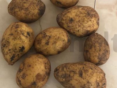 Kaimiškos bulvės su paprika ir prieskoniais Žingsnis 1