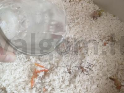 Vištienos plovas Žingsnis 8