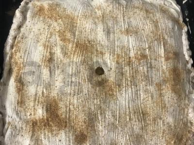 Bulvių ir mėsos pyragas Žingsnis 4