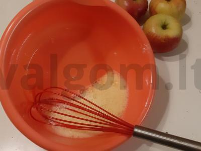 Tinginė Šarlotė ledams Žingsnis 1