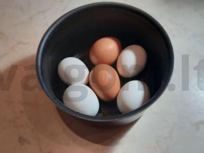 Foršmakas su silke ir obuoliais Žingsnis 1