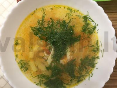 Vištienos makaronų sriuba. pagrindine nuotrauka