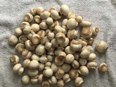 Risotto su mini grybais Žingsnis 2