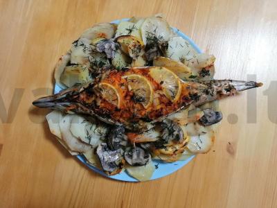 Įdaryta skumbrė su daržovėmis pagrindine nuotrauka