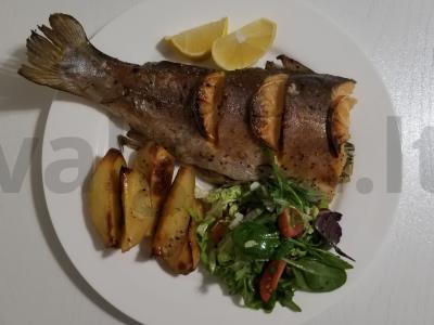 Skanus vaivorykštinis upėtakis su prieskoninėmis žolelėmis ir citrina pagrindine nuotrauka