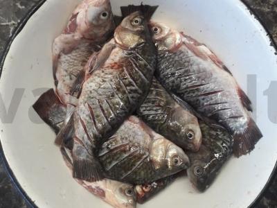 Kepti karšiai Žingsnis 1