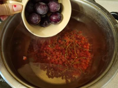 Skanus raudonųjų serbentų ir slyvų kompotas Žingsnis 1