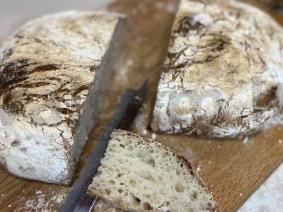 Tingus ciabatta pagrindine nuotrauka