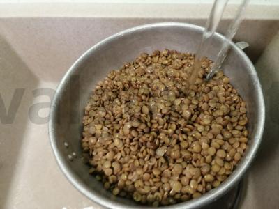 Lęšiai pomidorų padaže su svogūnais Žingsnis 3