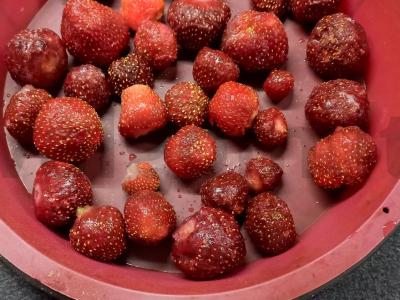 Braškių charlotte Žingsnis 2