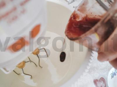 Prieskoniais pagardintas sausainis prie arbatos Žingsnis 3