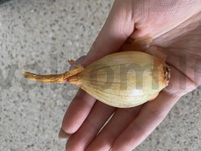Bulgur su kepenėlėmis ir daržovėmis Žingsnis 3