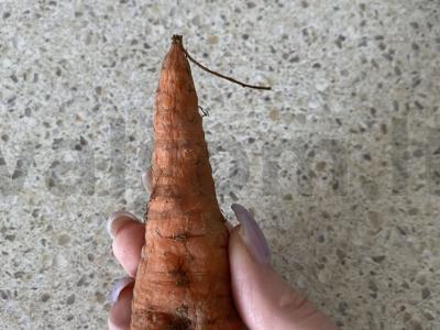 Bulgur su kepenėlėmis ir daržovėmis Žingsnis 5