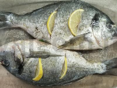 Aromatinga kepta dorada su žolelėmis ir citrina Žingsnis 1
