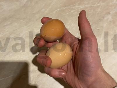 Kreminis tortas su sviestiniu kremu Žingsnis 1