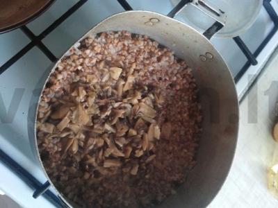 Grikiai su grybais jų pačių sultyse Žingsnis 6
