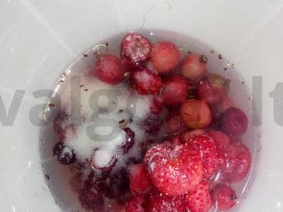 Uogų mišinio arkliai Žingsnis 4