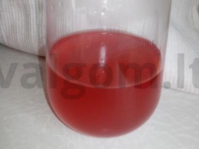 Uogų mišinio arkliai pagrindine nuotrauka