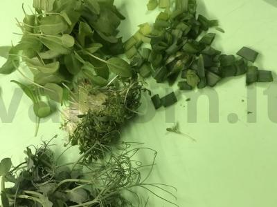 Okra ant kefyro Žingsnis 8