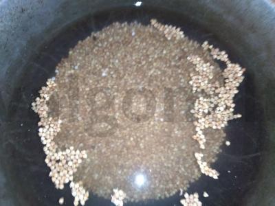 Sultinga vištiena su grikių padažu Žingsnis 1