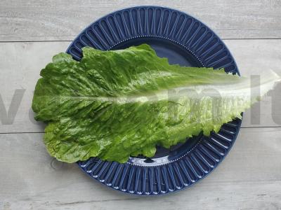 Vištienos kepenėlių salotos su pupelėmis Žingsnis 2