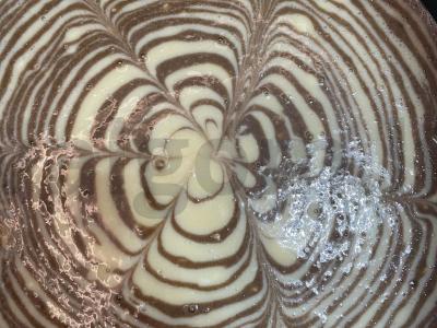 Zebro tortas Žingsnis 5