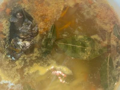 Žuvies sriuba Žingsnis 4