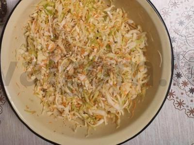 Salotos "Kopūstų ir daržovių švelnumas" Žingsnis 3