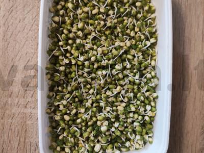 Turkiškos burokėlių salotos su mung pupelių daigeliais ir avinžirniais Žingsnis 2