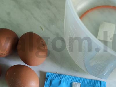 PP charlotte Žingsnis 1